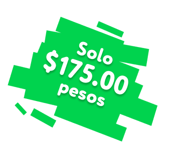 Foto de ejemplo del libro
